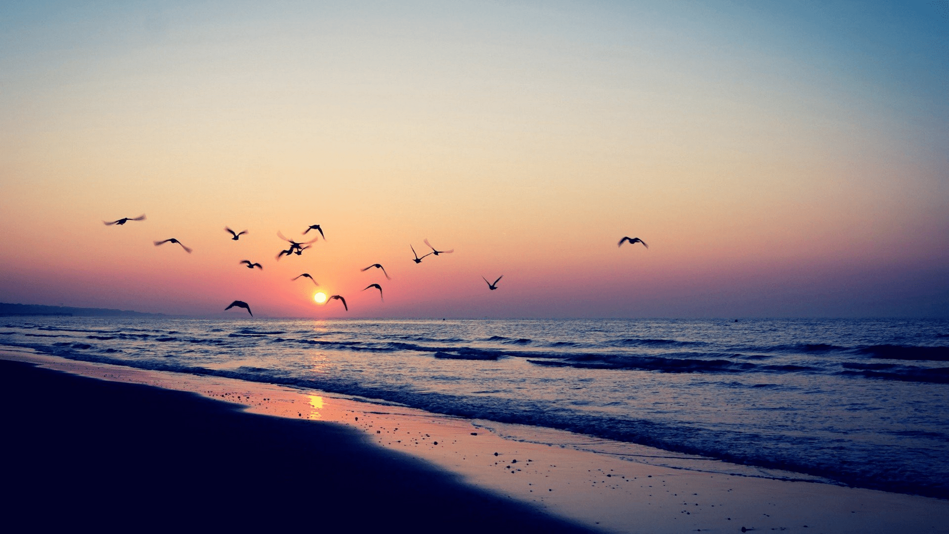 View 15 Download Aesthetic Ppt Background Minimalist Ppt Template Riset