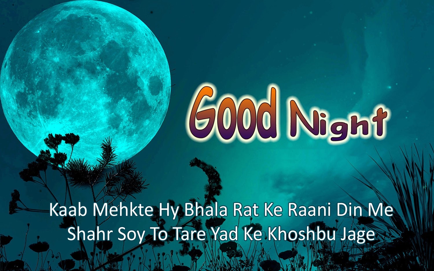 Best Latest Good Night Wishes, Quotes, Good Night Messages & Status