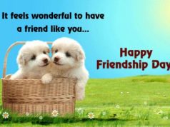 2022 Happy Friendship Day Quotes & Sayings happy friendship day quotes