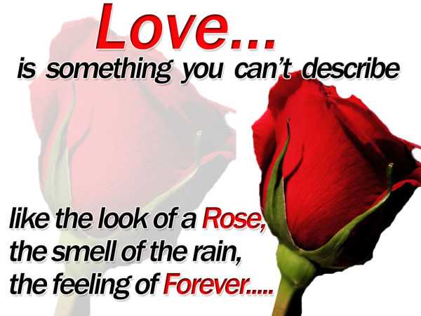 35 Heart Touching I Love You Quotes With Images