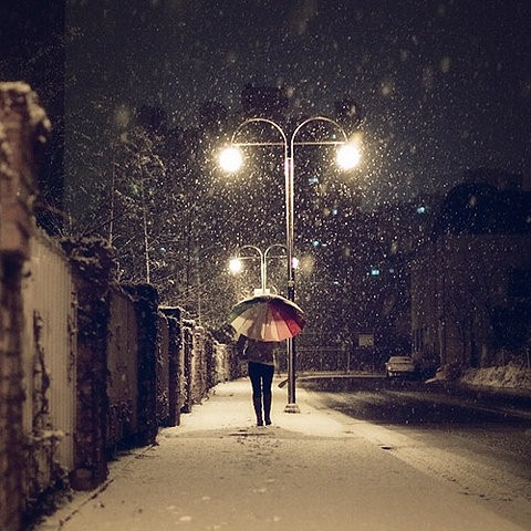 Night Umbrella Photo