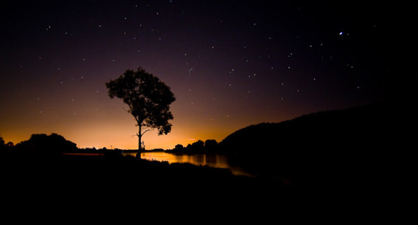 night tree photography