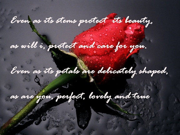 30 Beautiful Heart Touching Love Poems With Images