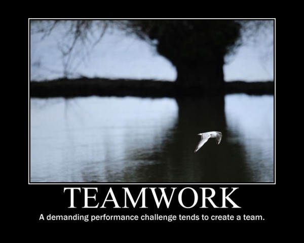 20+ Inspiring Team Work Quotes & Sayings With Images