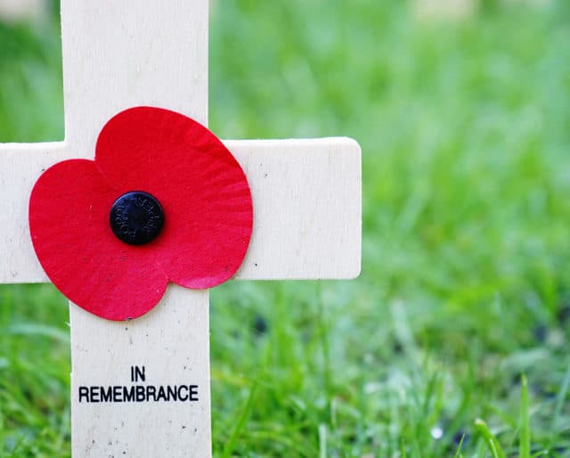 Quotes for Remembrance Day – MasterBundles