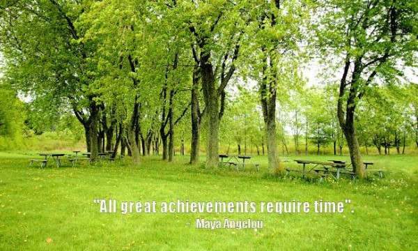 Achievement Quotes